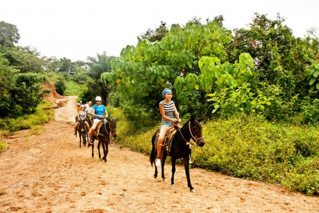 Visitas guiadas de grupo
